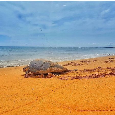 Pousada Costa Dourada Baía Formosa エクステリア 写真